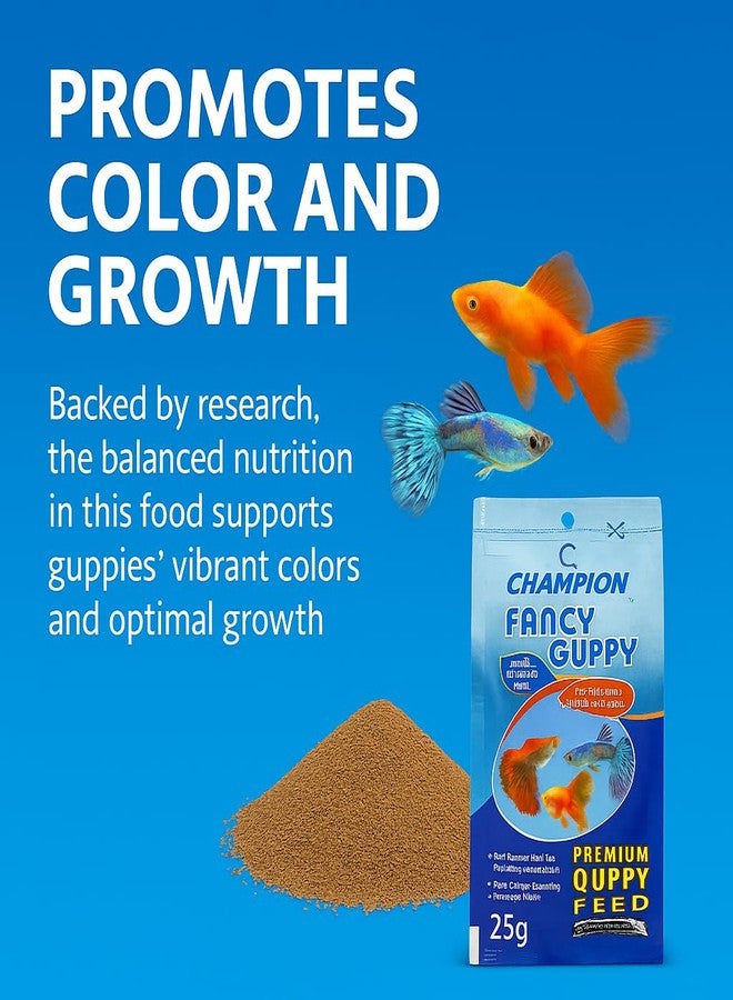 طعام VAYINATO® Champion لأسماك الجوبي - عبوة من 3 قطع، كل عبوة 25 غرام | علف ممتاز على شكل حبيبات دقيقة لأسماك الجوبي | حبيبات شبه عائمة غنية بالبروتين لنمو الأسماك ولونها من Petzlifeworld - Image 2